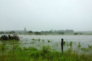 Tormenta en San Jose