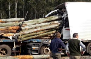 Camion con palos 2