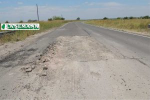 Bache en ruta 38