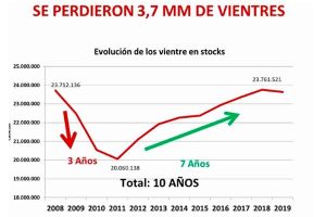 Grafico-carne-2